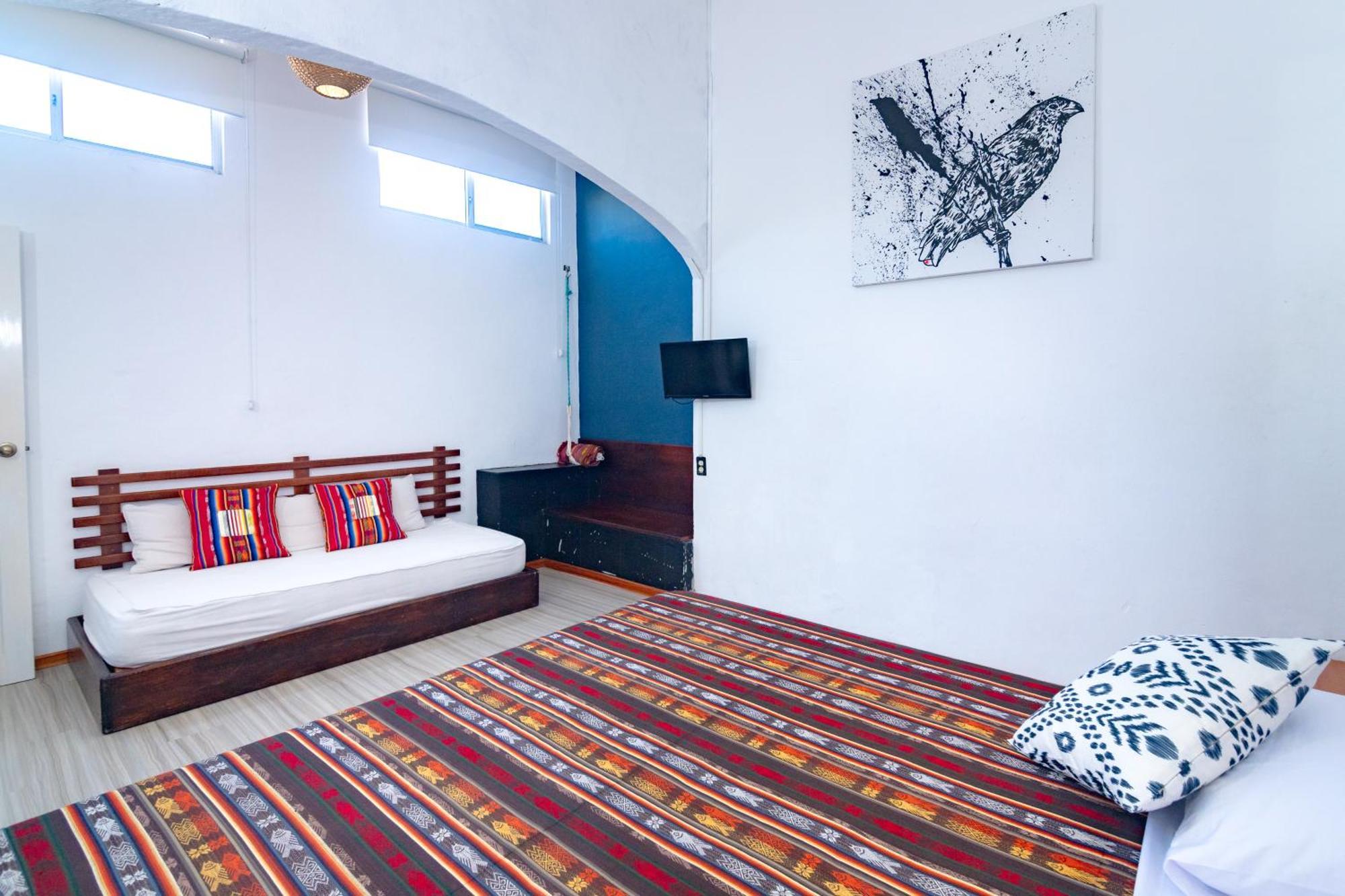 La K-Leta Boutique Guesthouse Puerto Ayora  Exteriér fotografie