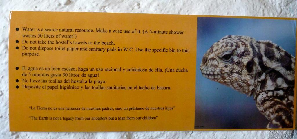 La K-Leta Boutique Guesthouse Puerto Ayora  Exteriér fotografie